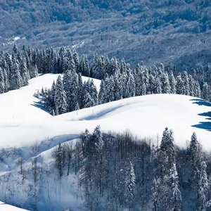 每年拿出一个亿动物与动物操逼
