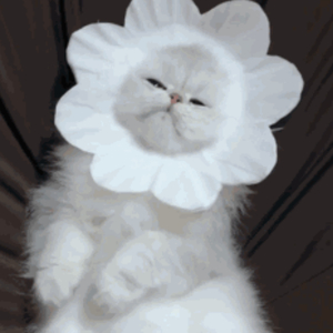 美女大Bxxxxn内射
